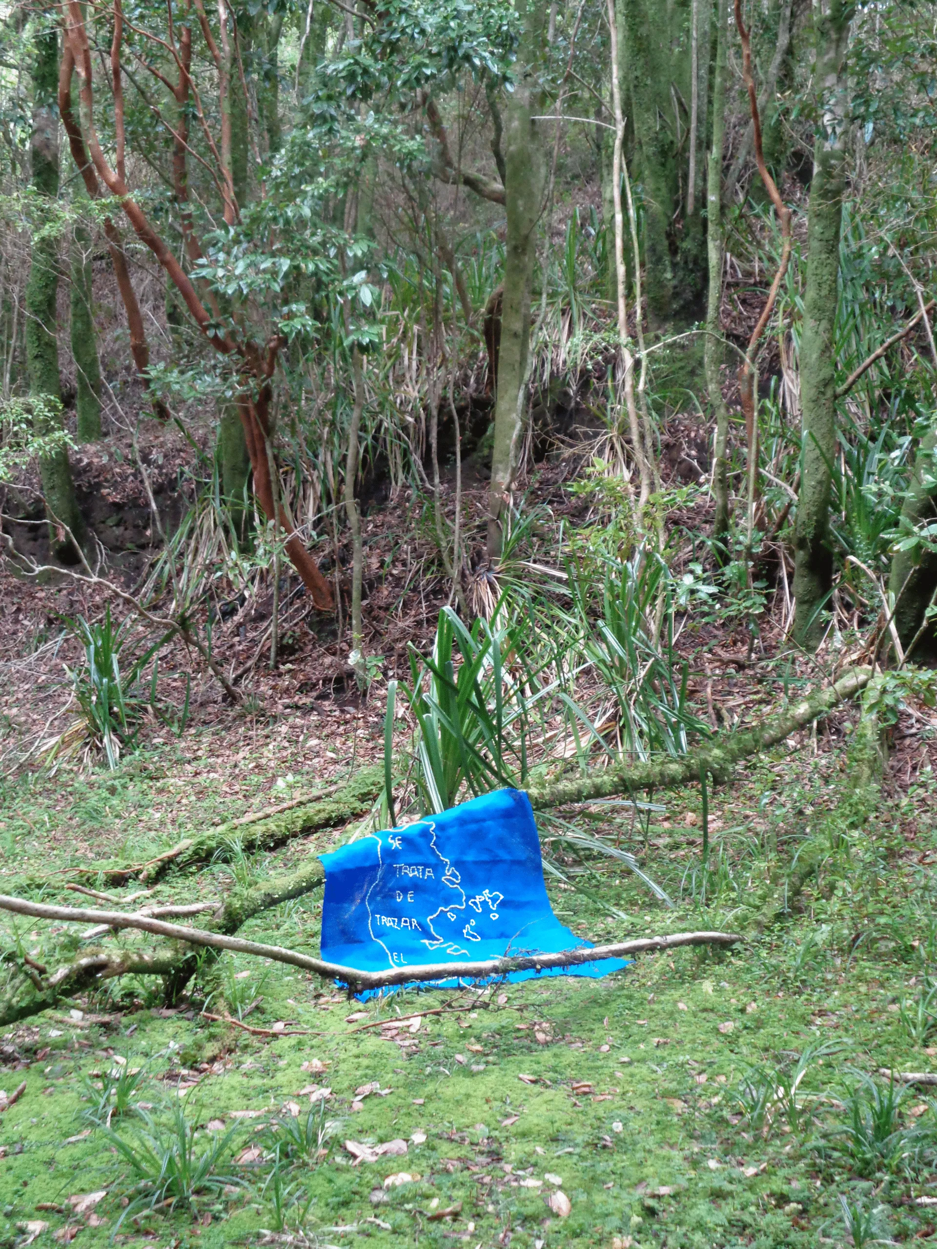 obra azul con un mapa y texto suspendida entre ramas en un bosque Chiloé